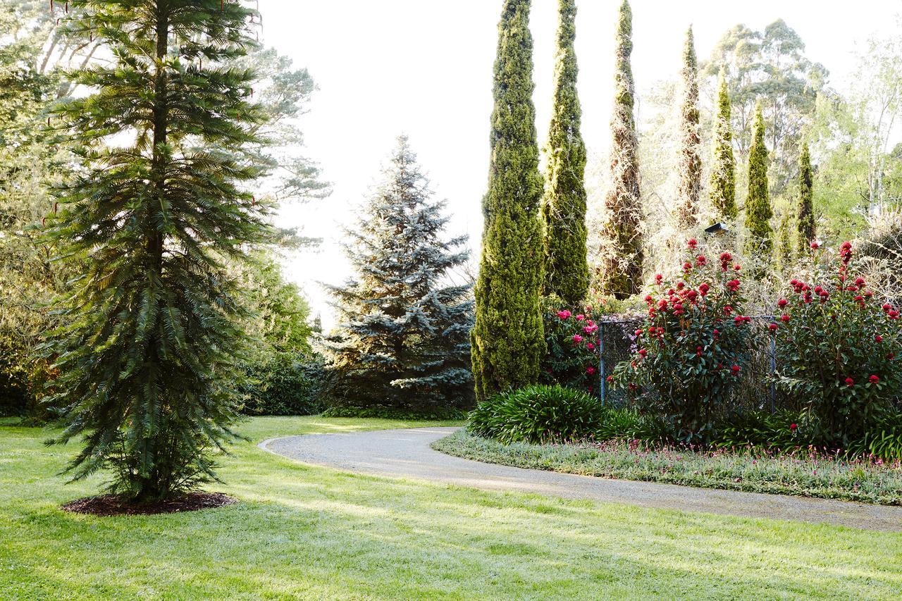 올린다 Beechmont Garden Retreat 게스트하우스 외부 사진