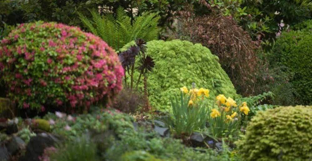 올린다 Beechmont Garden Retreat 게스트하우스 외부 사진