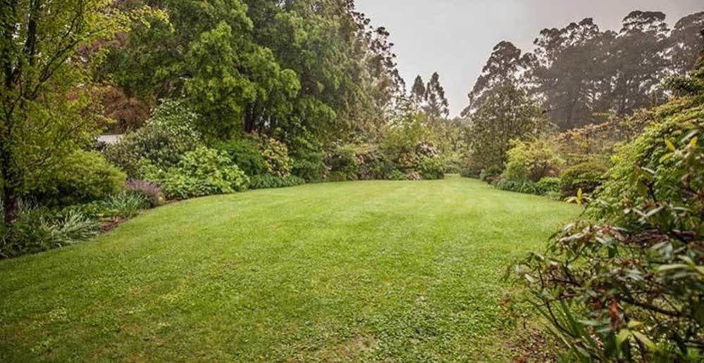 올린다 Beechmont Garden Retreat 게스트하우스 외부 사진