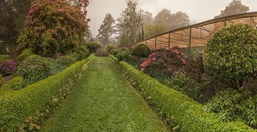 올린다 Beechmont Garden Retreat 게스트하우스 외부 사진