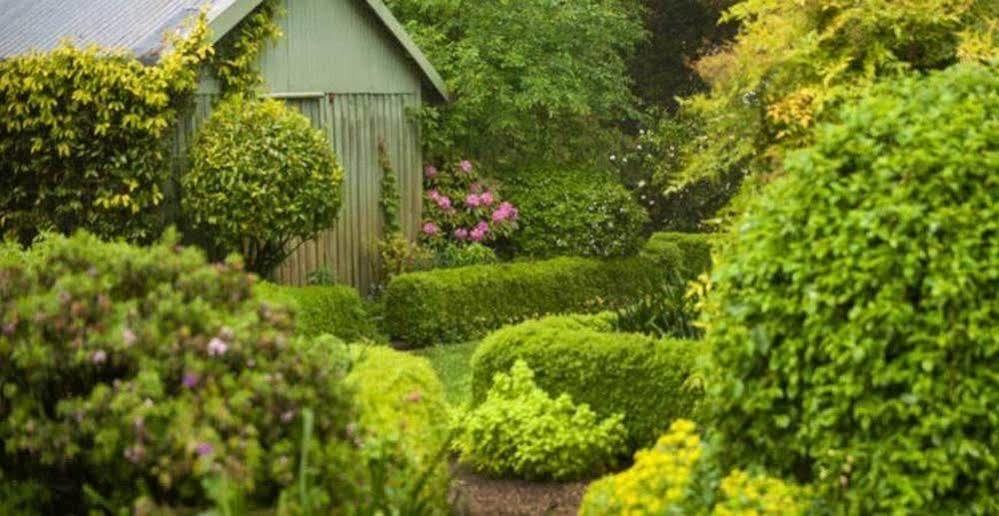 올린다 Beechmont Garden Retreat 게스트하우스 외부 사진