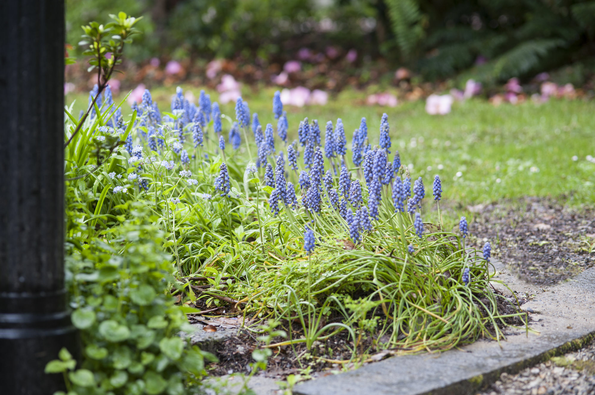 올린다 Beechmont Garden Retreat 게스트하우스 외부 사진